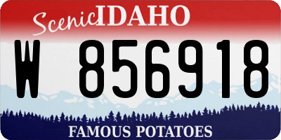ID license plate W856918