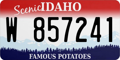 ID license plate W857241