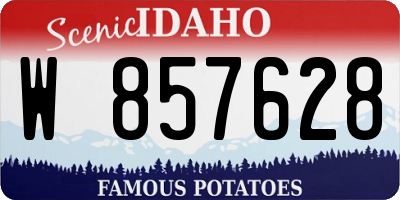 ID license plate W857628