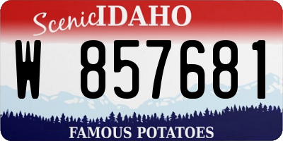ID license plate W857681