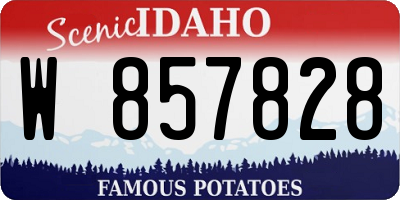 ID license plate W857828