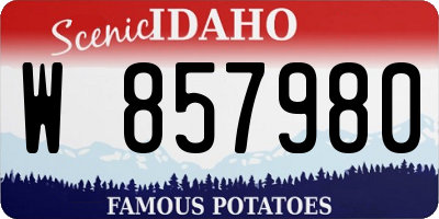 ID license plate W857980