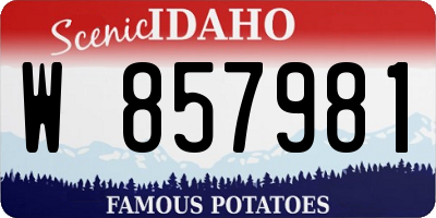 ID license plate W857981