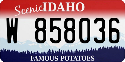 ID license plate W858036