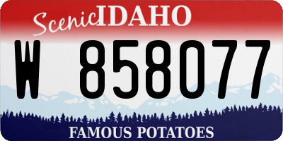 ID license plate W858077