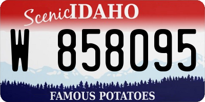 ID license plate W858095