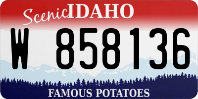 ID license plate W858136