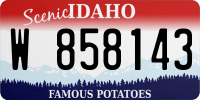 ID license plate W858143