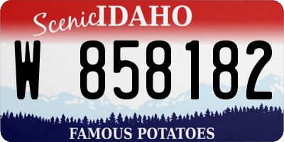 ID license plate W858182