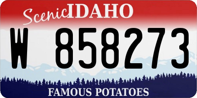 ID license plate W858273
