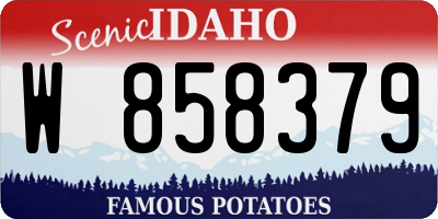 ID license plate W858379