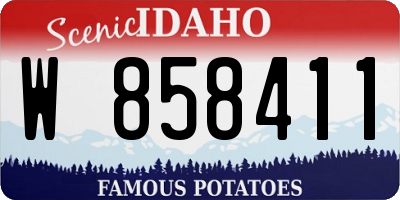 ID license plate W858411