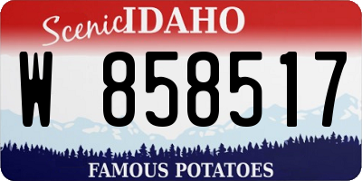ID license plate W858517