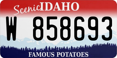 ID license plate W858693