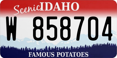 ID license plate W858704