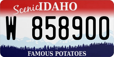 ID license plate W858900