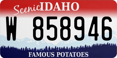 ID license plate W858946