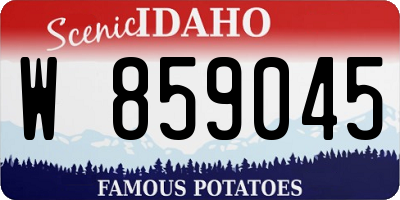 ID license plate W859045
