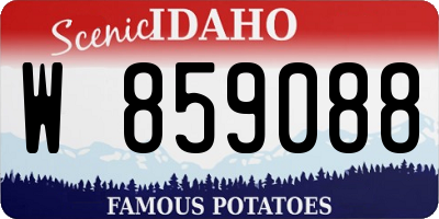 ID license plate W859088