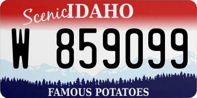 ID license plate W859099