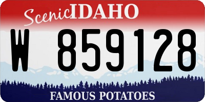 ID license plate W859128