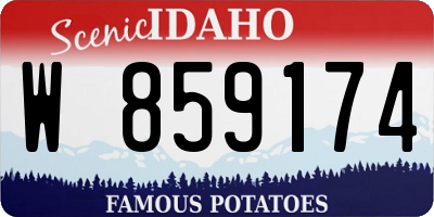 ID license plate W859174