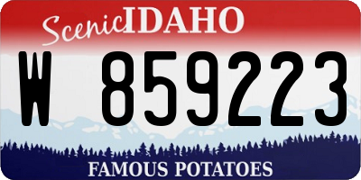ID license plate W859223