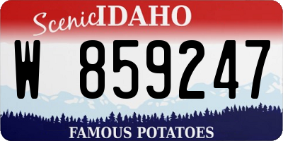 ID license plate W859247