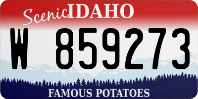 ID license plate W859273
