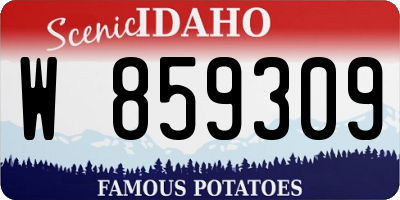ID license plate W859309