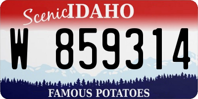 ID license plate W859314