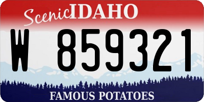 ID license plate W859321