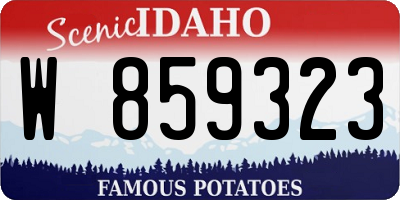 ID license plate W859323