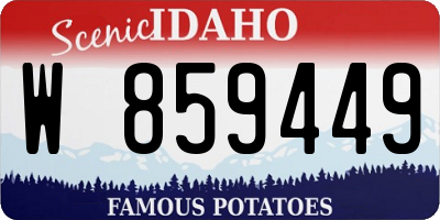 ID license plate W859449