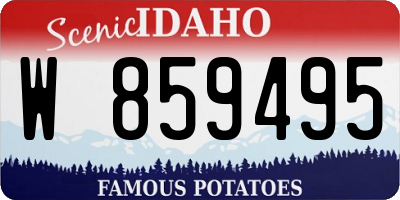 ID license plate W859495
