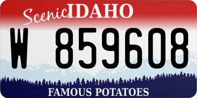 ID license plate W859608