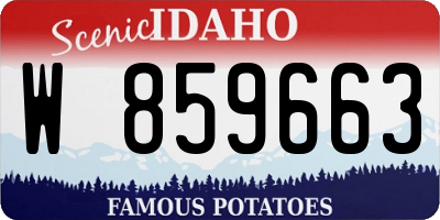 ID license plate W859663