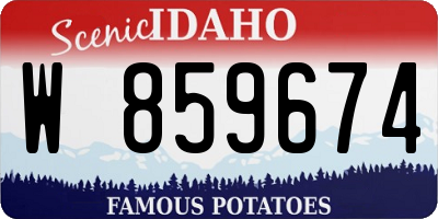 ID license plate W859674