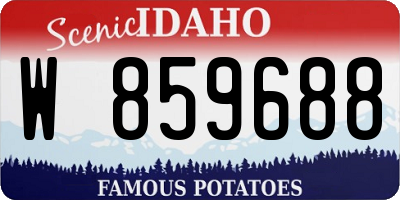ID license plate W859688
