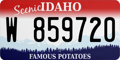 ID license plate W859720
