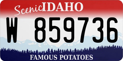ID license plate W859736