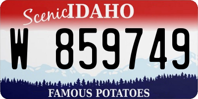 ID license plate W859749