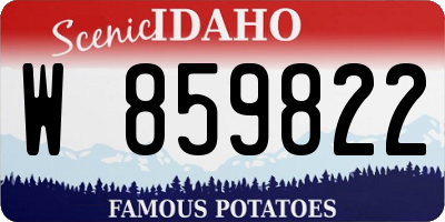 ID license plate W859822
