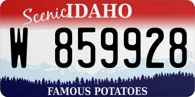 ID license plate W859928