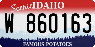 ID license plate W860163