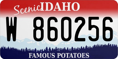 ID license plate W860256