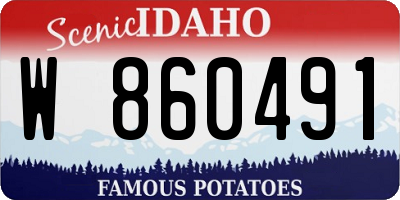 ID license plate W860491