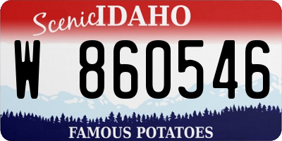 ID license plate W860546