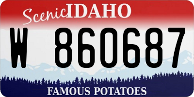 ID license plate W860687