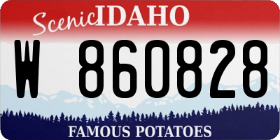 ID license plate W860828